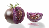 The Purple Tomato May Teach us to Love GMOS