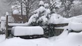 Early winter wallop buries parts of Ontario in 100+ cm of snow