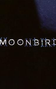 Moonbird