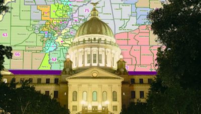 Opinion | Redistricting Ruling a Step Toward True Representation