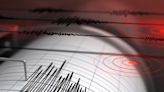 Watch: Saudi Arabia reports mild 3.6 magnitude earthquake
