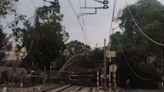 Cae árbol en las vías del tren ligero en la alcaldía Xochimilco