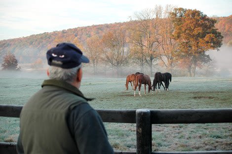 Artist Stella Leaves a Legacy in Thoroughbred Breeding