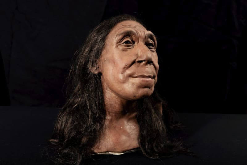 Meet the 75,000-year-old Neanderthal woman whose friendly face is sparking a scientific debate