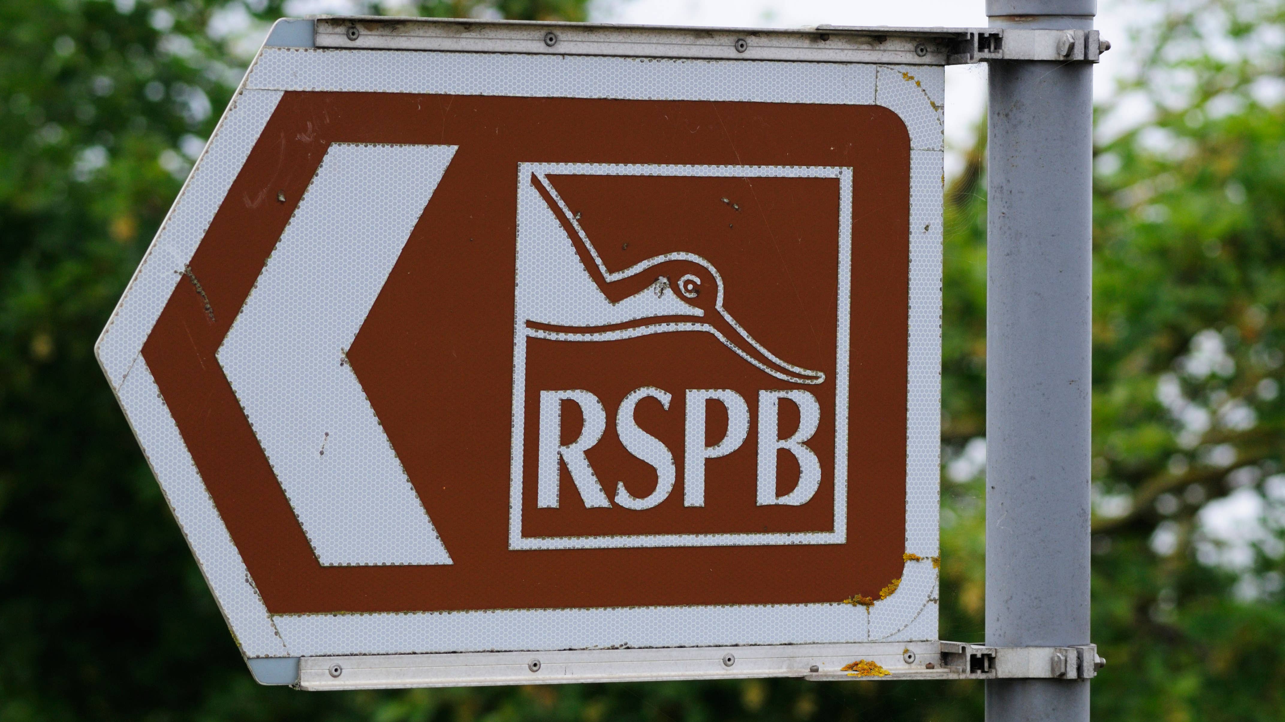 Watchdog: RSPB online post branding Sunak and Gove ‘liars’ was inappropriate