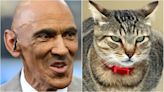 Ex-NFL Coach Tony Dungy Spreads Kitty-Litter Myth And Twitter Gets Catty