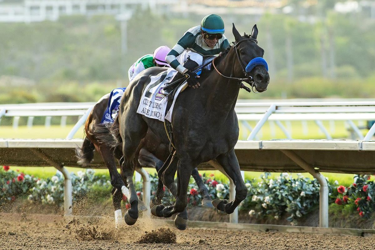 Bob Baffert stars go 1-for-2 in top weekend races that may shape Breeders' Cup