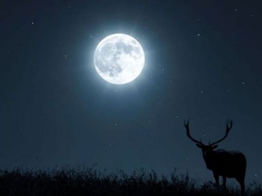 Luna Llena de julio 2024: ¿cuándo y a qué hora ver la Luna de Ciervo en México?