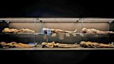 Dañan momias de Guanajuato; confirman deterioro en varias piezas