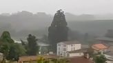 Bolt of lightning obliterates massive tree in ‘incredible footage’