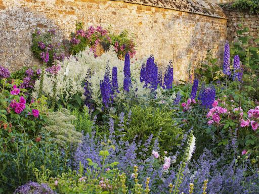 24 Tall Perennial Flowers That Will Take Your Garden to New Heights