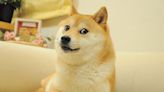 Kabosu, Dog Who Inspired Dogecoin and Shiba Inu, Is No More