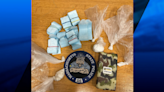Fall River man arrested, charged with drug trafficking | ABC6