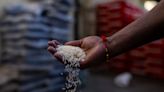 Surging rice prices raise specter of Asian food scare, HSBC says