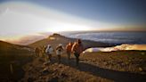 Adventures at altitude: an expert guide to hiking Kilimanjaro