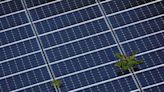 US House votes to repeal Biden solar tariff waiver