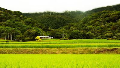 開箱東海岸最貴旅宿「Innterval」：管家帶逛神秘農場、獨享太平洋山海窗景 - alive - 商業名人的生活美學