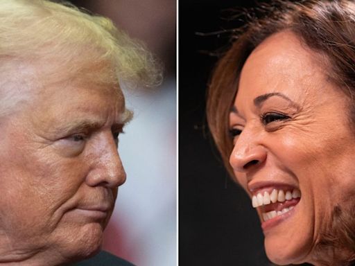 'He's miserable!' George Conway describes how Kamala Harris is tormenting Trump