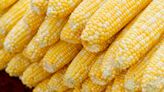 10 farms to buy corn when it's in season in Ontario