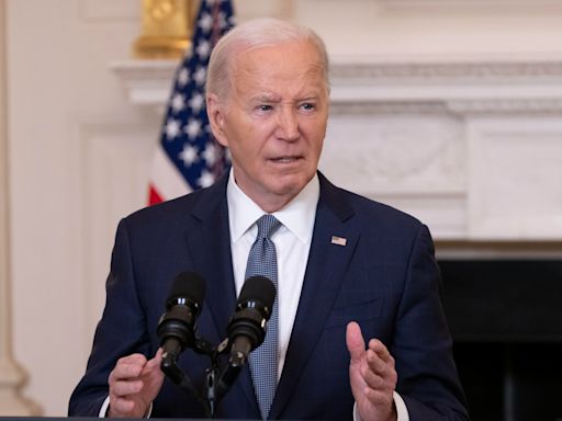 Joe Biden recomienda a Israel que ignore la presión y respalde el plan de paz