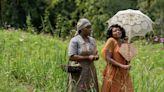 In the Musical Version of The Color Purple , Joy Rules the Day