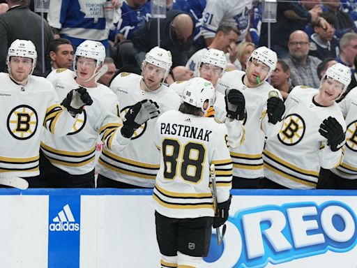 Why David Pastrnak Gave Ex-NHL Tough Guy Goosebumps With Fight