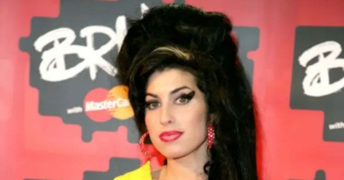 Amy Winehouse's haunting four-word confession to doctor hours before she died