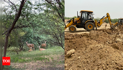 Rail terminal at Dwarka forest land, activists want project to be shelved to save environment, ecology | Delhi News - Times of India