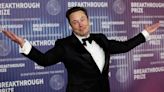 Elon Musk: Anyone who claims their political party does no wrong is 'either a liar, a fool or both'