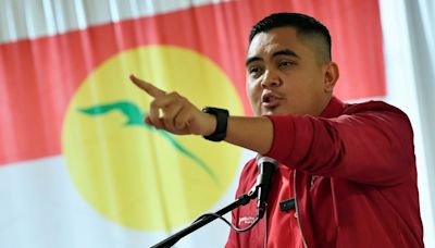 Umno Youth sides with Education Minister Fadhlina over banning alcohol and tobacco school donations, slams Loke over review call