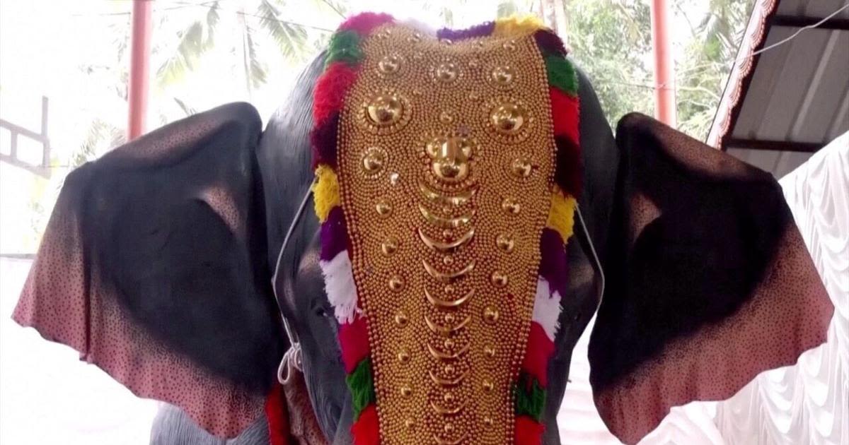 800 Kilogram Robotic Elephant Introduced in Bid to Prevent Animal Cruelty