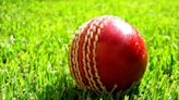 Wombourne just miss out despite Howell’s heroics