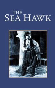 The Sea Hawk (1924 film)