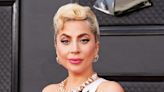 Lady Gaga Sued by Woman Charged in Dog Theft Who Is Demanding $500,000 Reward