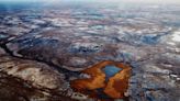 Siberian tundra 'could disappear by 2050' due to climate change