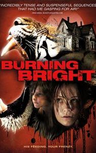 Burning Bright