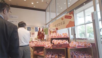 台南芒果進軍日本關西地區 銷售開紅盤將拓展販售