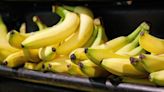 Bananas will outlast their normal shelf life with savvy storage solution