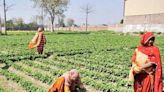 Pakistan's rural communities emerge as pivotal players in sustainable development