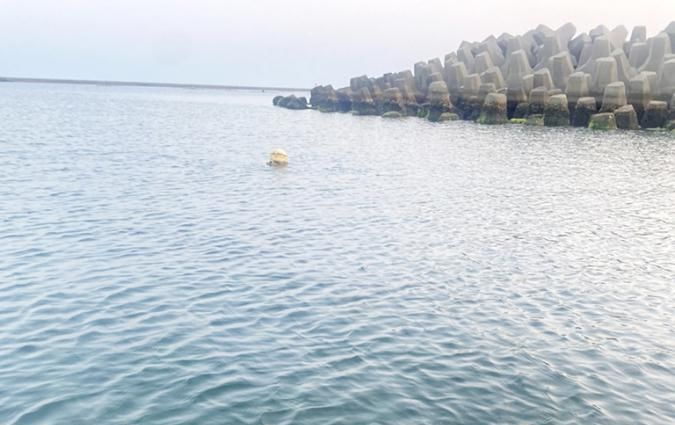 三鯤鯓漁光島水域石頭成暗礁 李啟維籲盡速移除以策安全