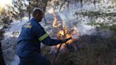 La UE, dispuesta a movilizar sus recursos contra los incendios forestales