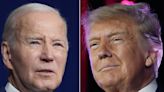 William Watson: Warts and all, democracy is still best (even if it's Trump vs. Biden)