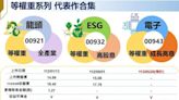 兆豐等權重ETF有三兄弟 老三00943下周募集 - 財經