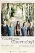 Voices from Chernobyl (film)