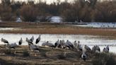 El mundo rural gana peso en la futura Agència de la Natura