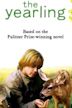 The Yearling (1994 film)