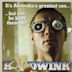 Hoodwink (1981 film)