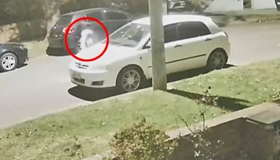 Wild moment scumbag carries out unthinkable act on a quiet street