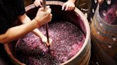 Incredible Footage Shows 600,000 Gallons of Red Wine Flood Streets of Small Town in Portugal