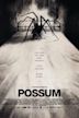 Possum (film)